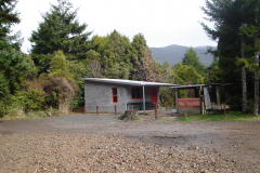 DSC00708