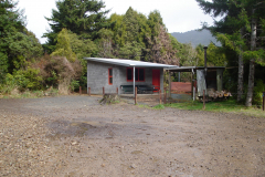 DSC00709