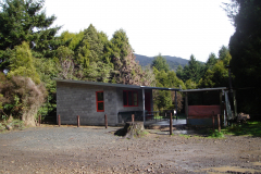 DSC00719