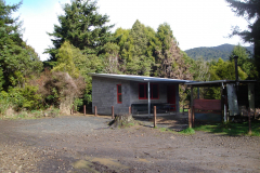 DSC00720