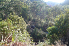 DSC00740