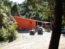 DSC00768